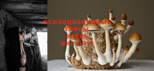 бошки Тавда