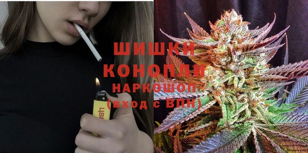 бошки Тавда