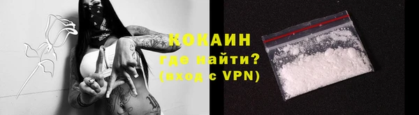 бошки Тавда