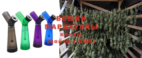 бошки Тавда
