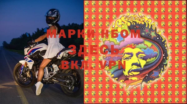 бошки Тавда
