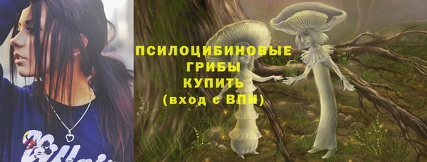прущий лед Тайга