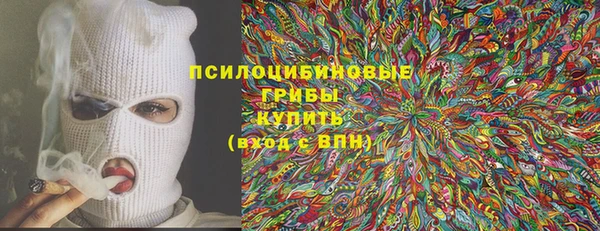 прущий лед Тайга