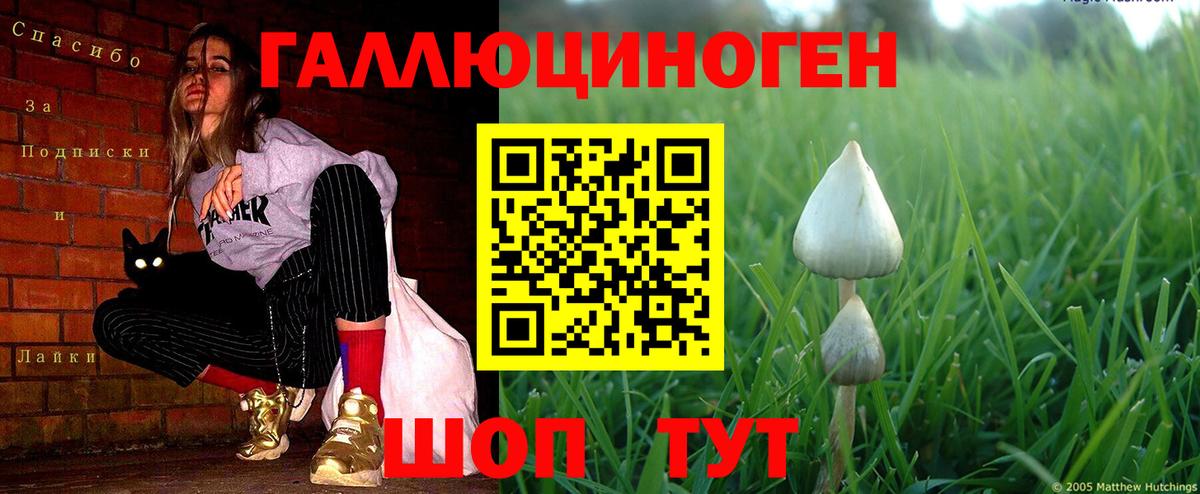 Златоуст  Галлюциногенные грибы прущие грибы  Псилоцибиновые грибы Psilocybe  Вход с VPN 